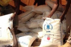 Les efforts du Programme Alimentaire Mondial pour nourrir les personnes affectées par la violence en Ukraine