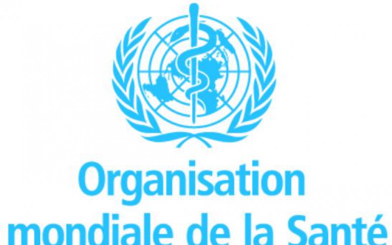 Rapport de l’OMS: Une femme sur trois victime de violences conjugales dans le monde
