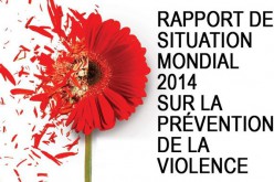 Rapport de situation mondial 2014 sur la prévention de la violence. OMS, PNUD, ONUDC