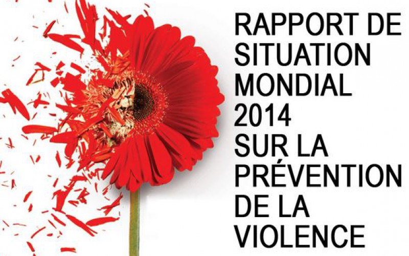 Rapport de situation mondial 2014 sur la prévention de la violence. OMS, PNUD, ONUDC