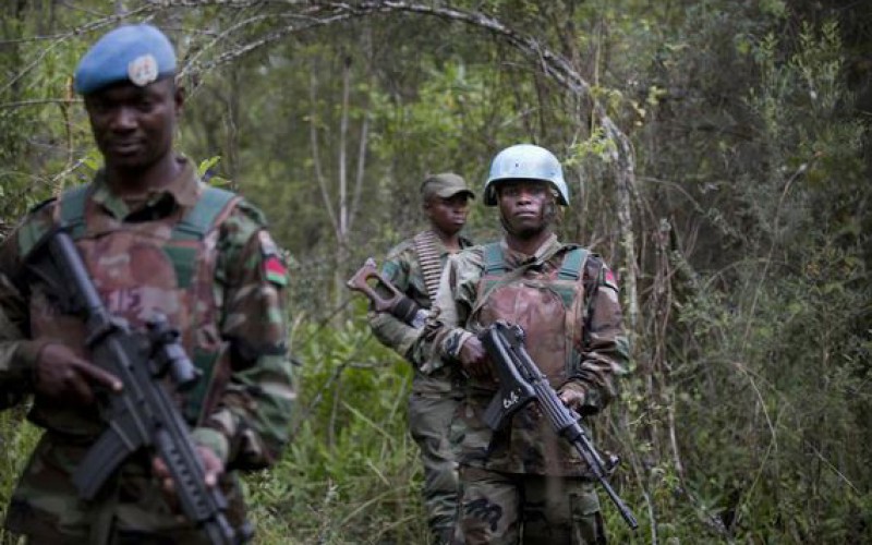 RDC : l’ONU et ses partenaires appellent à agir militairement contre les FDLR
