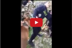 Israël : une vidéo montre deux soldats se servir d’un chien pour menacer un jeune Palestinien
