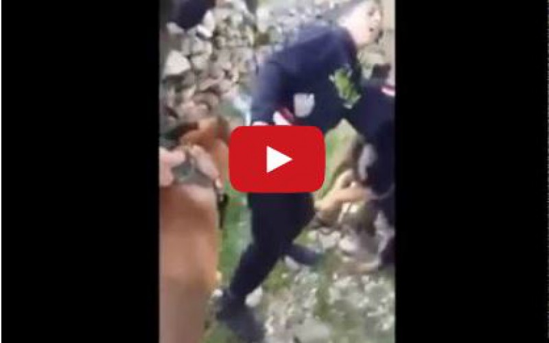 Israël : une vidéo montre deux soldats se servir d’un chien pour menacer un jeune Palestinien
