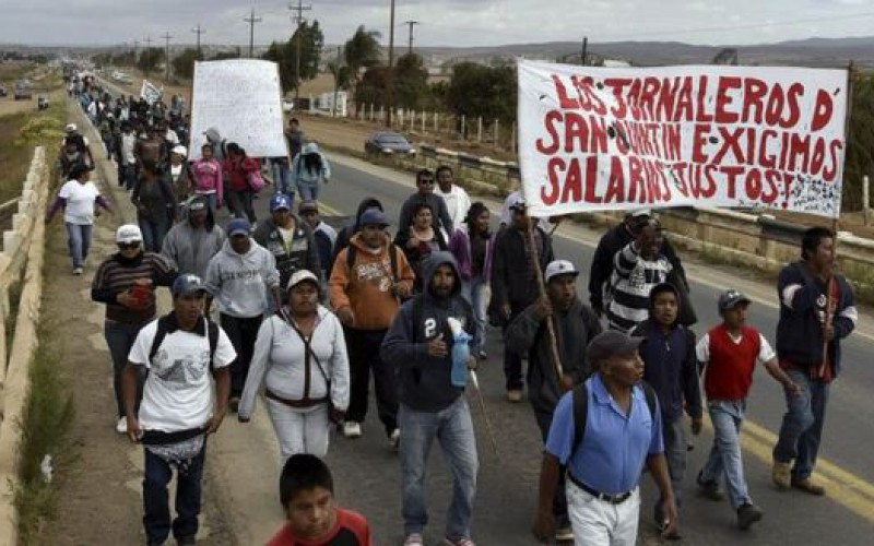 Des ouvriers agricoles au Mexique : « Ça suffit, l’exploitation ! », « Finis les salaires de la faim ! »