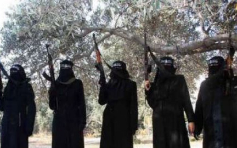 Ces femmes sur lesquelles s’appuie secrètement le groupe terroriste de Daesh (EI) pour se développer