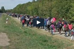 Des milliers de réfugiés arrivent en Autriche après avoir traversé la Hongrie-vidéo