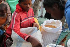 Madagascar : la FAO et le PAM appellent à une action urgente face à l’aggravation de l’insécurité alimentaire