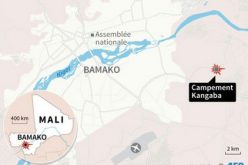 Mali: 30 civils sauvés dans une attaque terroriste, deux morts