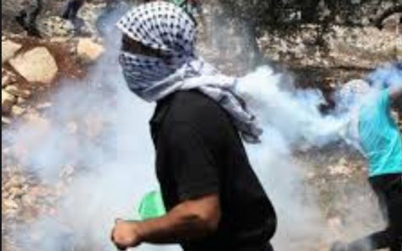 Deux Palestiniens abattus par les forces israéliennes dans un camp de réfugiés à Djénine