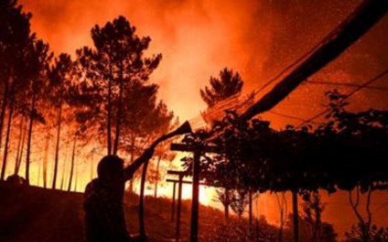 Portugal: un vaste incendie qui ravage le centre du pays, a déjà fait huit blessés