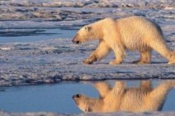 Le réchauffement climatique causera la perte de 80 millions d’emplois et de 2.400 milliards de dollars