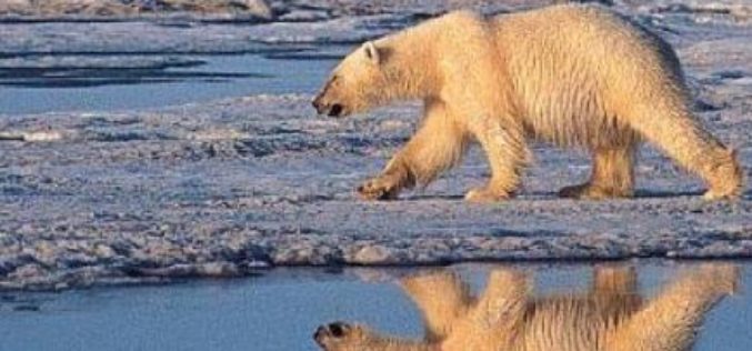 Le réchauffement climatique causera la perte de 80 millions d’emplois et de 2.400 milliards de dollars