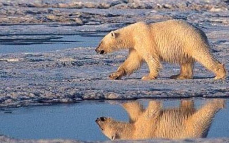 Le réchauffement climatique causera la perte de 80 millions d’emplois et de 2.400 milliards de dollars