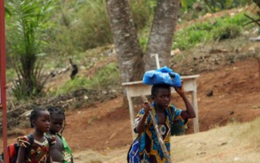 Côte d’Ivoire : Près de 800 000 enfants travaillent dans les plantations