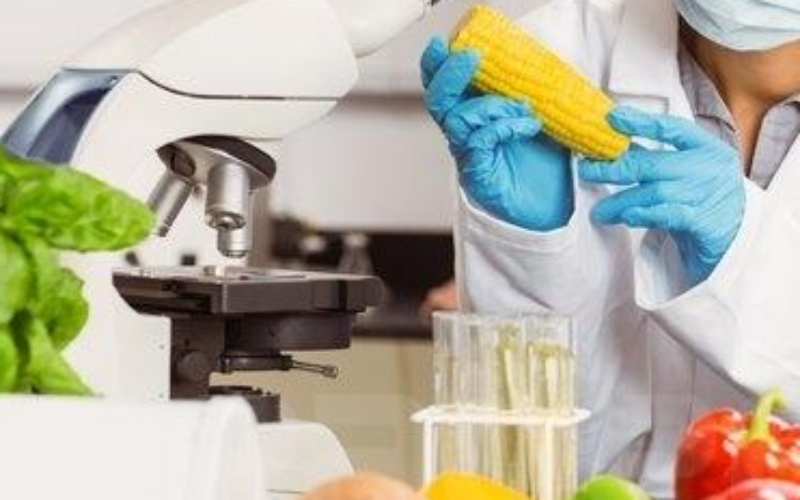 420 000 personnes dans le monde meurent chaque année après avoir ingéré des aliments contaminés