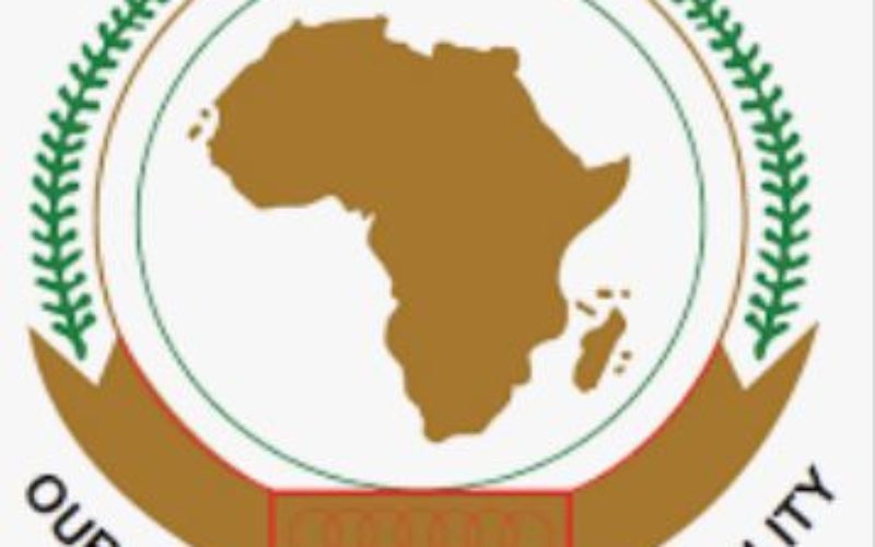 La Commission Africaine des Droits de l’Homme et des Peuples (CADHP) : Mission & Défis