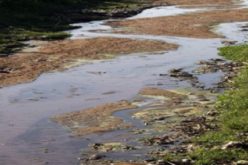 Trois milliards de personnes vivent dans des régions agricoles affectées par des niveaux très élevés de pénurie d’eau ou de rareté de l’eau