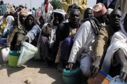 Près de 14 millions de personnes sont en situation d’insécurité alimentaire aiguë au Sahel