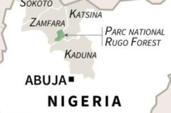 L’Agence pour les Droits de l’Homme condamne fermement les attaques ayant fait des dizaines de morts dans l’Etat de Zamfara, au nord-ouest rural du Nigeria