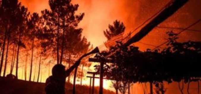 Portugal: un vaste incendie qui ravage le centre du pays, a déjà fait huit blessés
