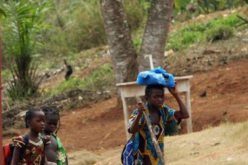 Côte d’Ivoire : Près de 800 000 enfants travaillent dans les plantations