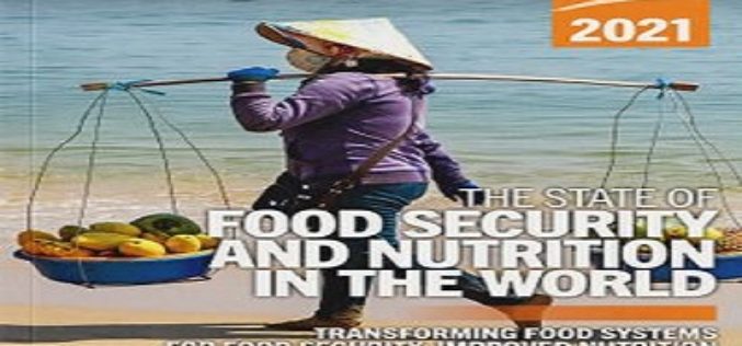 Rapport de l’ONU : « L’État de la sécurité alimentaire et de la nutrition dans le monde 2021 »